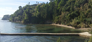 A scenic coastal view in Corfu, Greece, featuring a stone pier extending into calm, clear water. Lush green trees cover a hillside that slopes down to the shoreline. A building is visible on the hilltop in the distance. The sky is partly cloudy. The image captures the natural beauty of the Corfu coastline.